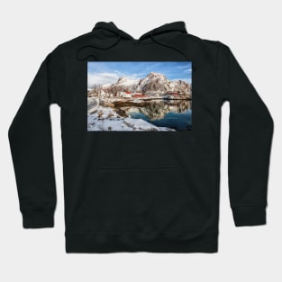 A Goat, an Island, a Fjord Hoodie